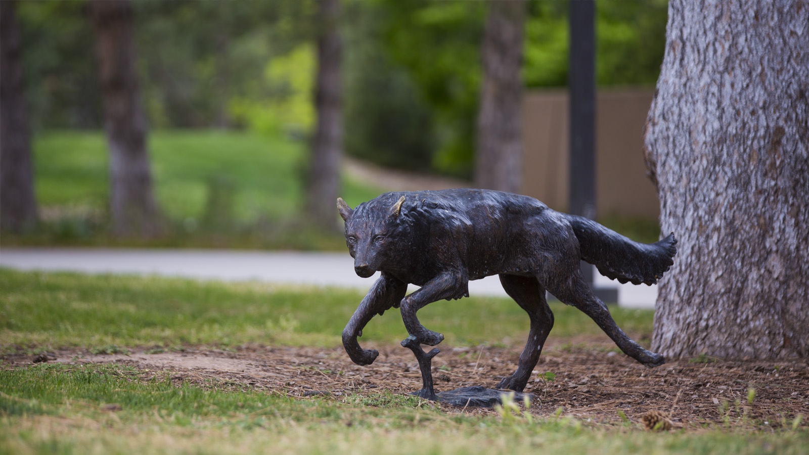 a small lobo statue on campus