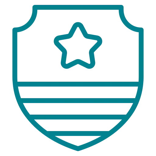 strategic icon 